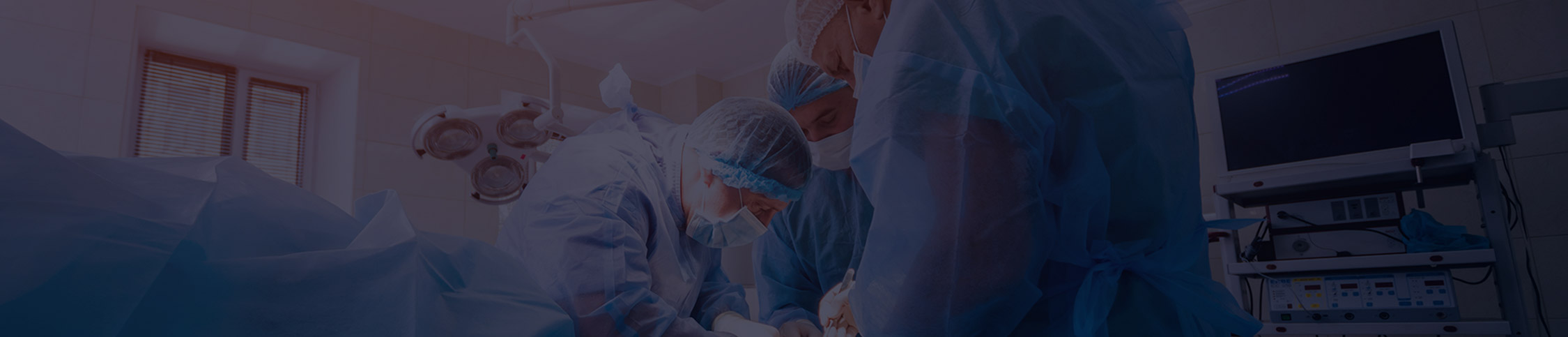 Presentación de Toumai